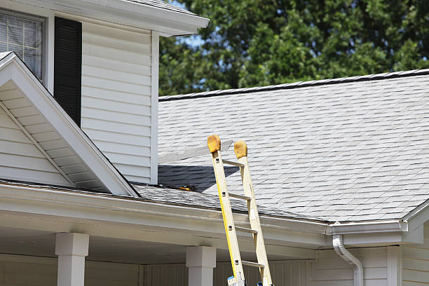 Best Fiber Cement Siding Installation  in South Haven, MI